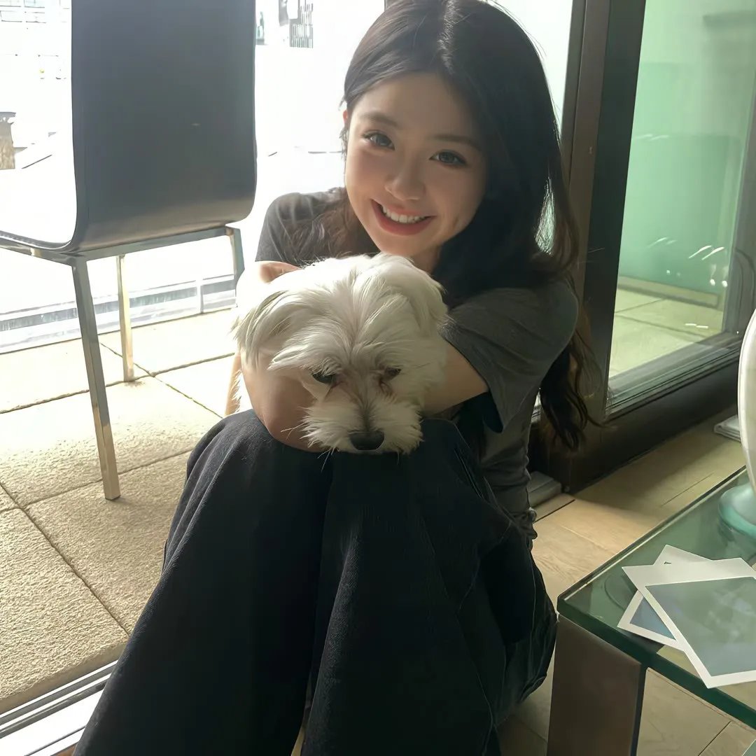 彩虹2015